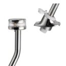 asta luminosa evoled