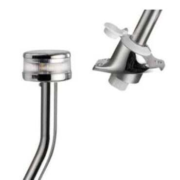 asta luminosa evoled