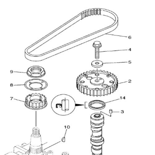 CINGHIA DISTRIBUZIONE YAMAHA SELVA F40-60