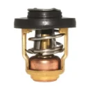 valvola termostatica per motore fuoribordo honda