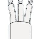 A norma CEI 20-22 20-22II e CEI 20-371 e rispondono alla DIRETTIVA EUROPEA 2011/95/CE. Fiamma ritardante e oleo-resistente (ricordiamo che nel vano motore il cavo deve essere obbligatoriamente oleoresistente).