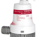 Certificate CE dal RINA, direttiva Europea 2013/53/UE secondo la norma ISO 8846.