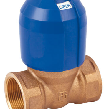 GUIDI Alex bronze non-stick valve 2"