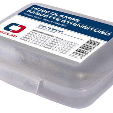 Kit 31 assorted hose clamps