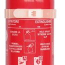 Regolamentare per locali cucina in quanto spegne bene le fiamme di olii vegetali che si usano per cucinare. Bombola in alluminio inossidabile, completo di supporto.