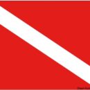 In stamina di poliestere.