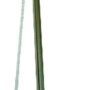 In alluminio verniciato bianco, con accessori in acciaio inox AISI 316 lucidati a specchio e ripiano in alluminio con inserti EVA similteak. Bicchiere in acciaio inox.