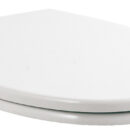 Coprisedili adatti alle diverse generazioni di wc elettrici Tecma, colore bianco, provvisti di sistema di chiusura frizionata.Sono disponibili in due versioni:A) con anima in legno ricoperta di poliestere e cerniere in acciaio inox;B) in plastica termoindurente (versione leggera che nasconde il sedile).