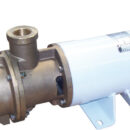 CEM Sbr self-priming electric pump bronze screw 24V