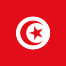 In stamina di poliestere, stampata a tinte indelebili.