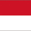 In stamina di poliestere, stampata a tinte indelebili.