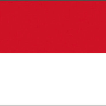 In stamina di poliestere, stampata a tinte indelebili.