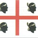 In stamina di poliestere, stampate a tinte indelebili.