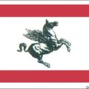 In stamina di poliestere, stampate a tinte indelebili.